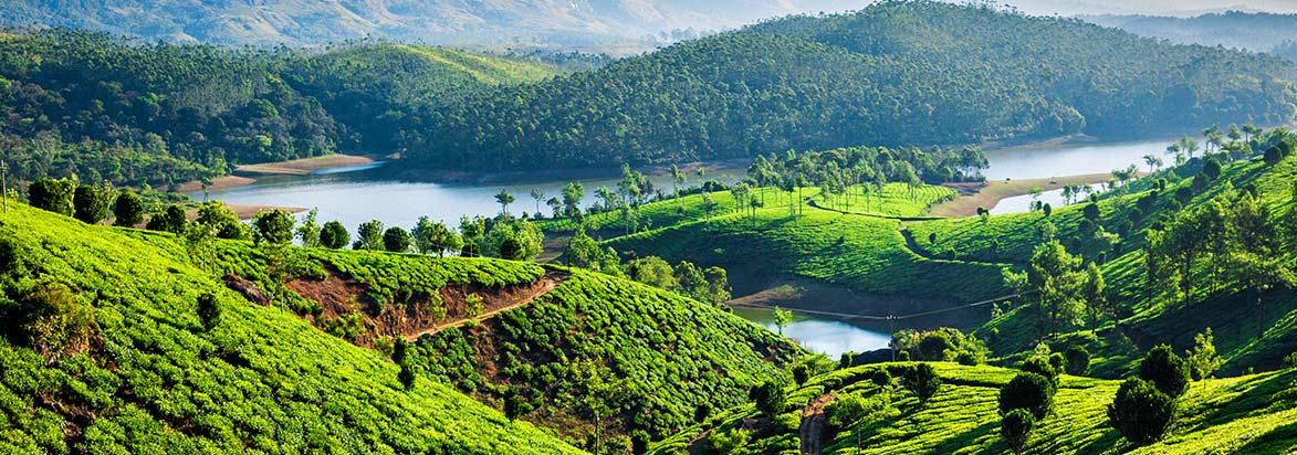 Amazing Kerala Tour Package By EaseOtrip.com