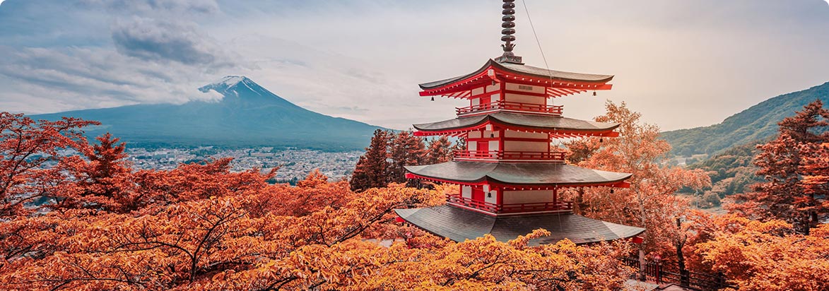 Japan 3Nights 4Days Package By EaseOtrip.com
